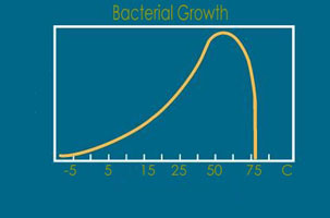 Bacteria_Graph